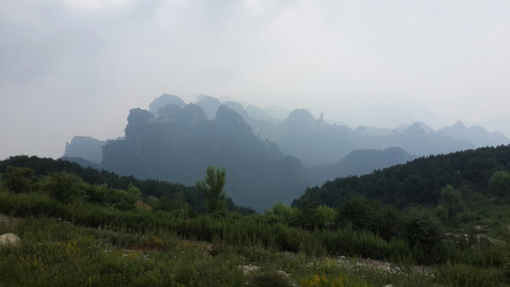 我选择的是买了通票,就是王莽岭加锡崖沟,方式是索道上山,坐景区中巴