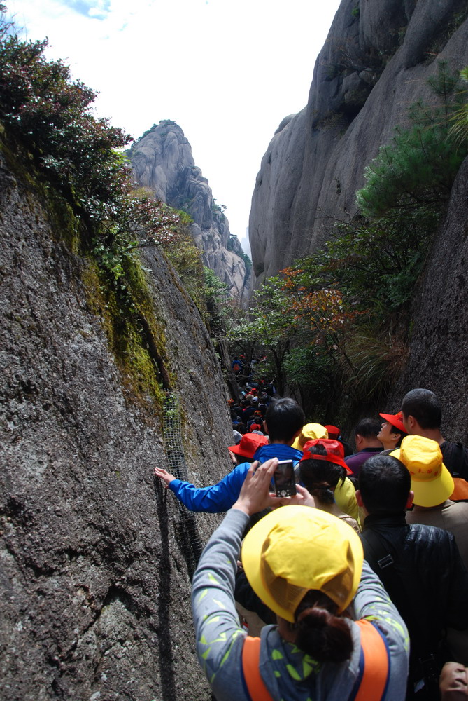 旅游新风向：环保、服务、安全，打造难忘体验