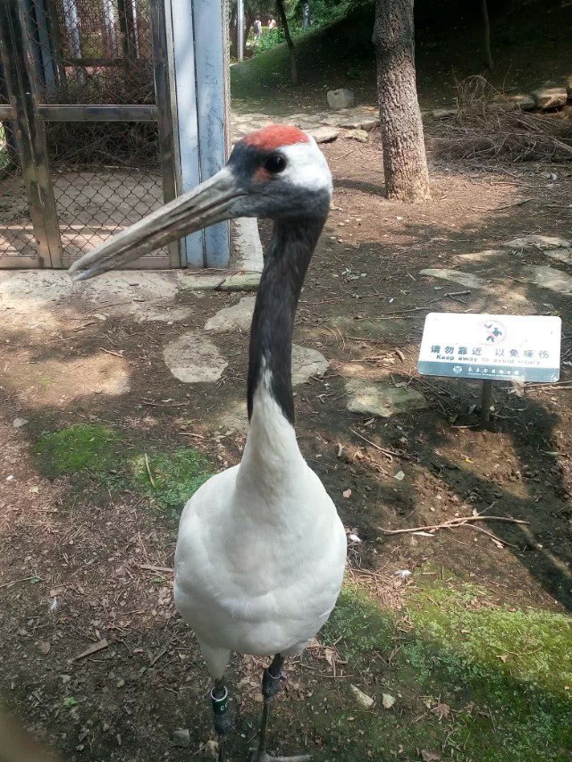 长春动植物公园