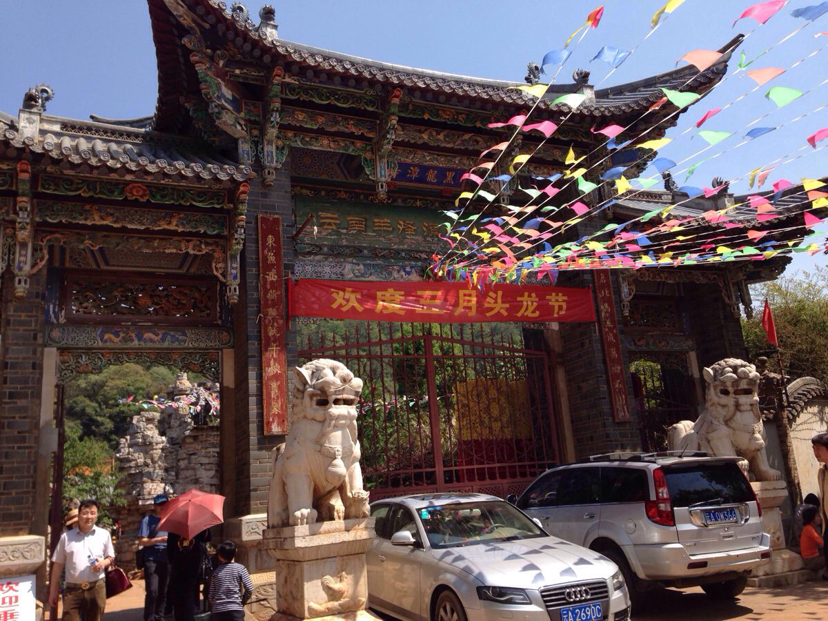 昆明花卉市场,白邑乡黑龙潭寺一日游,花卉市场鲜花种多价优,黑龙潭全