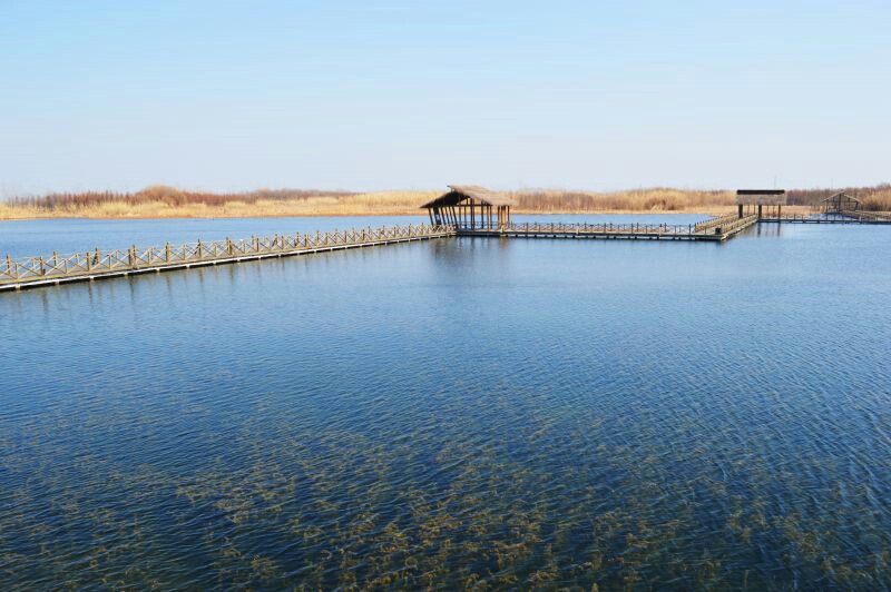 溱湖国家湿地公园