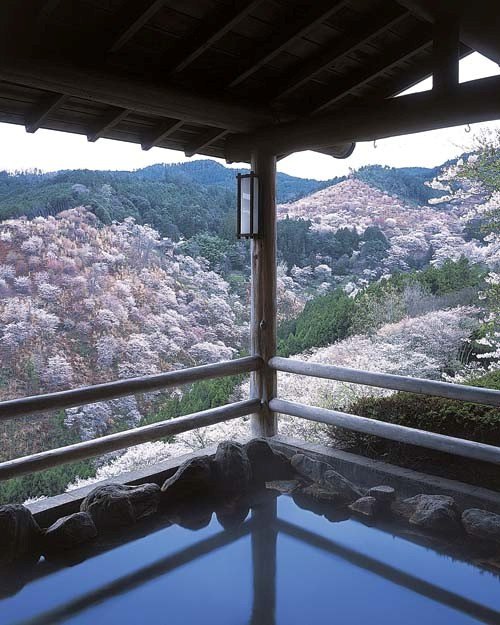 日本自由行—樱花温泉游