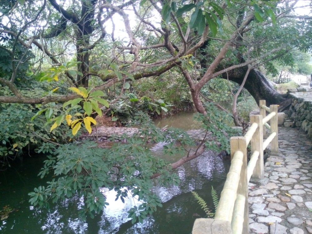 长泰古山重