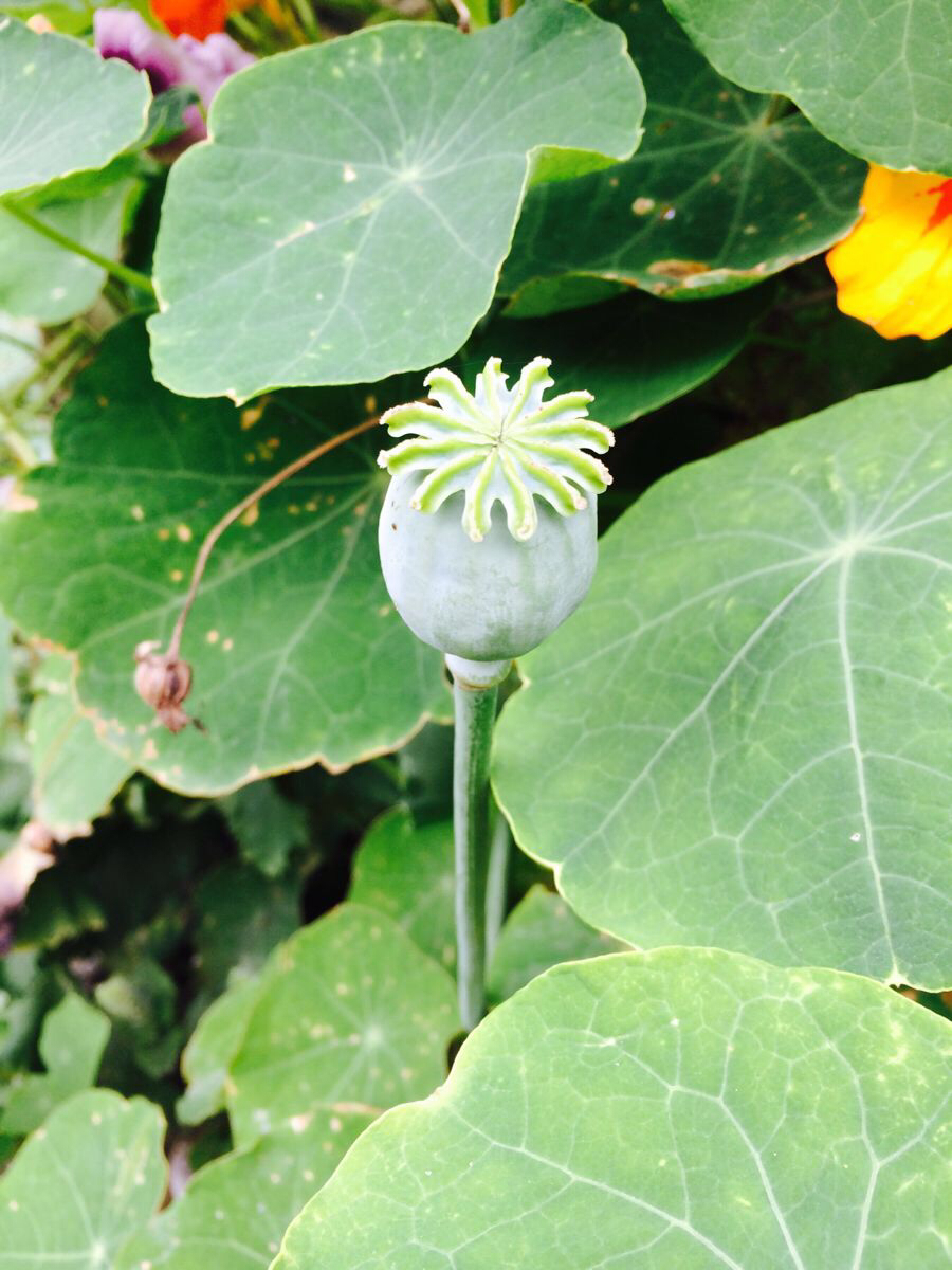 03月09日康定天气预报:晴 气温: -1℃~9℃