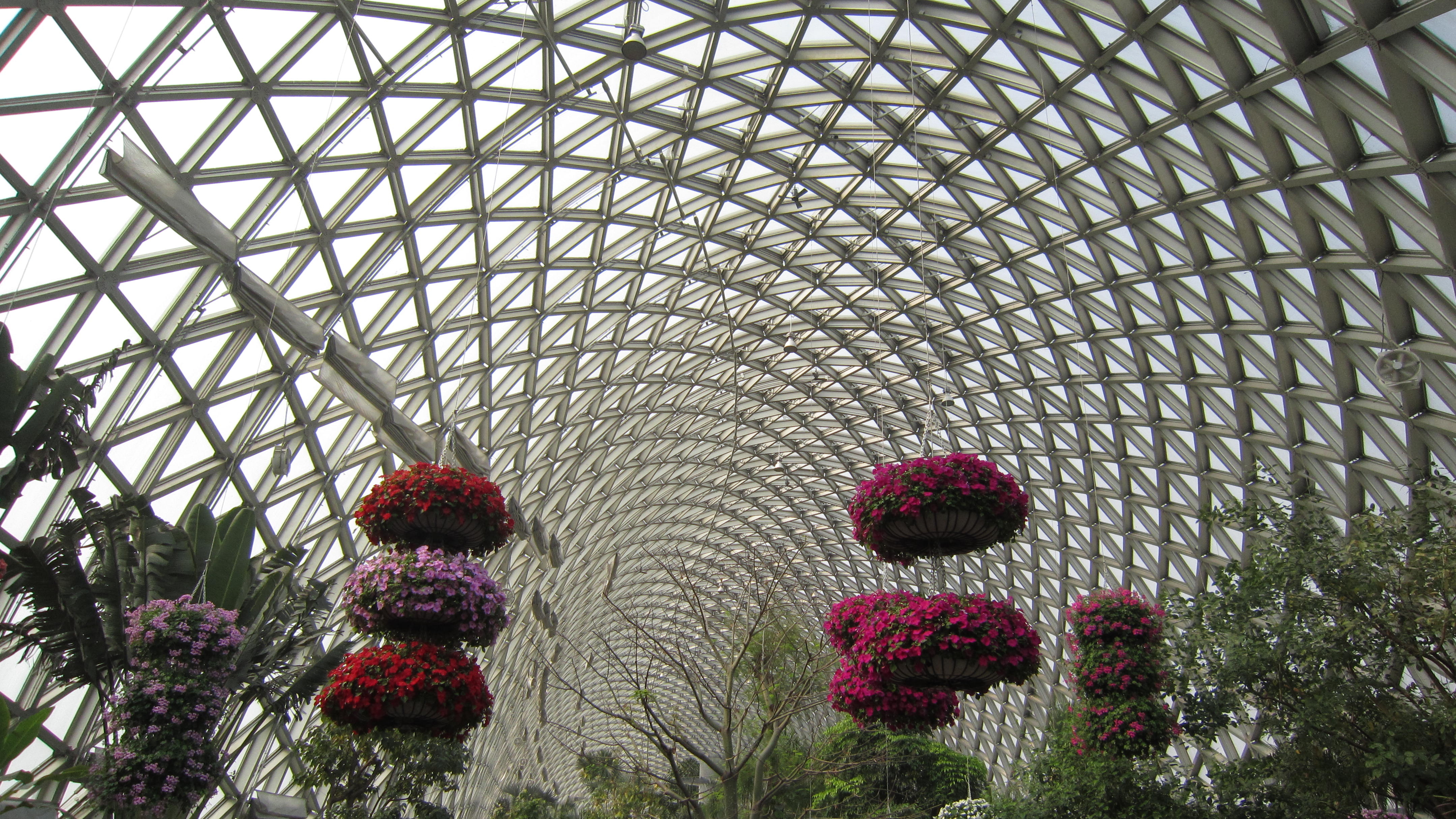              上海辰山植物园