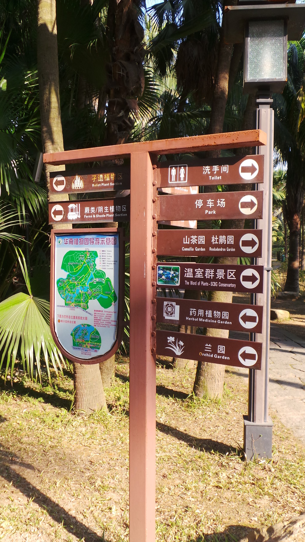 广州华南植物园 冬日凋零的美