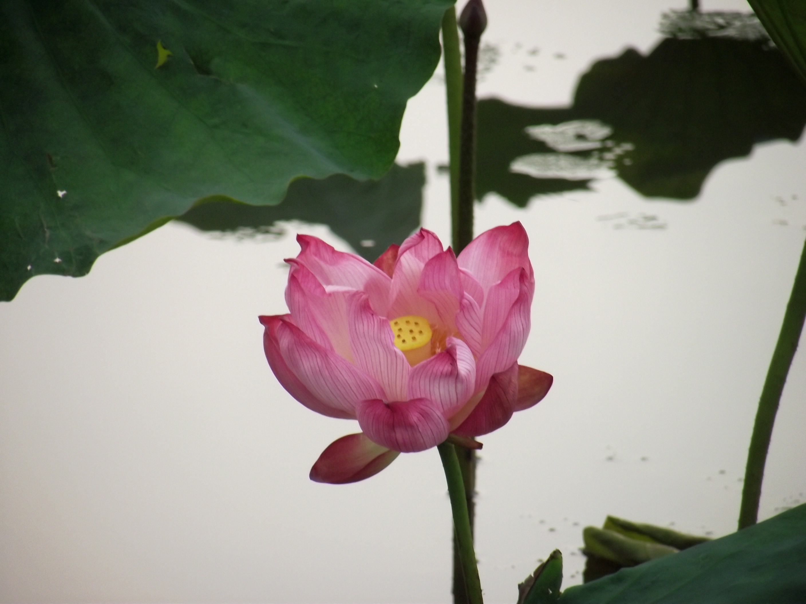 [图片] 烟台大学文史类专业 ,烟台大学文史类专