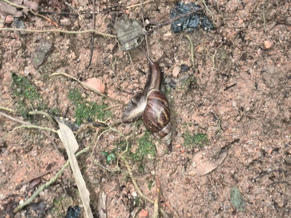 青青世界好玩吗_深圳青青世界好玩_深圳青青