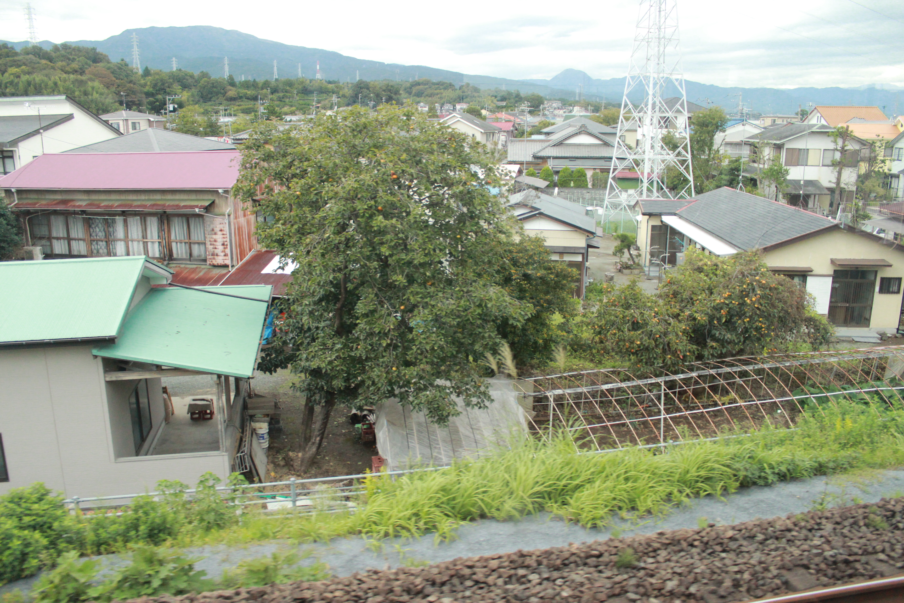 日本东京4天带个4岁小朋友怎么玩