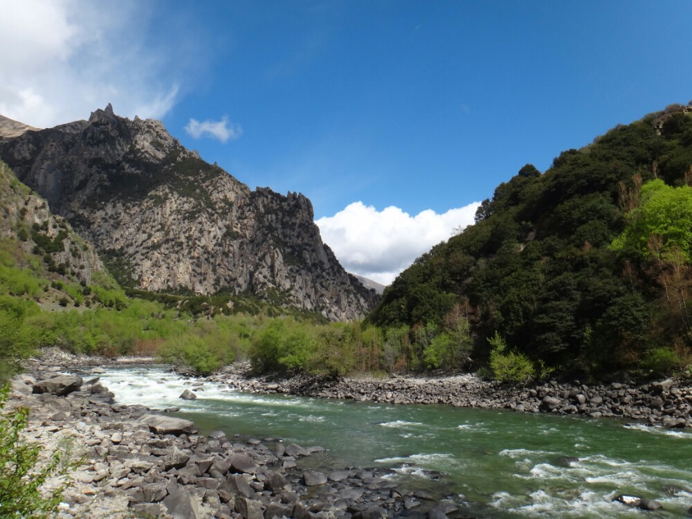 尼洋河