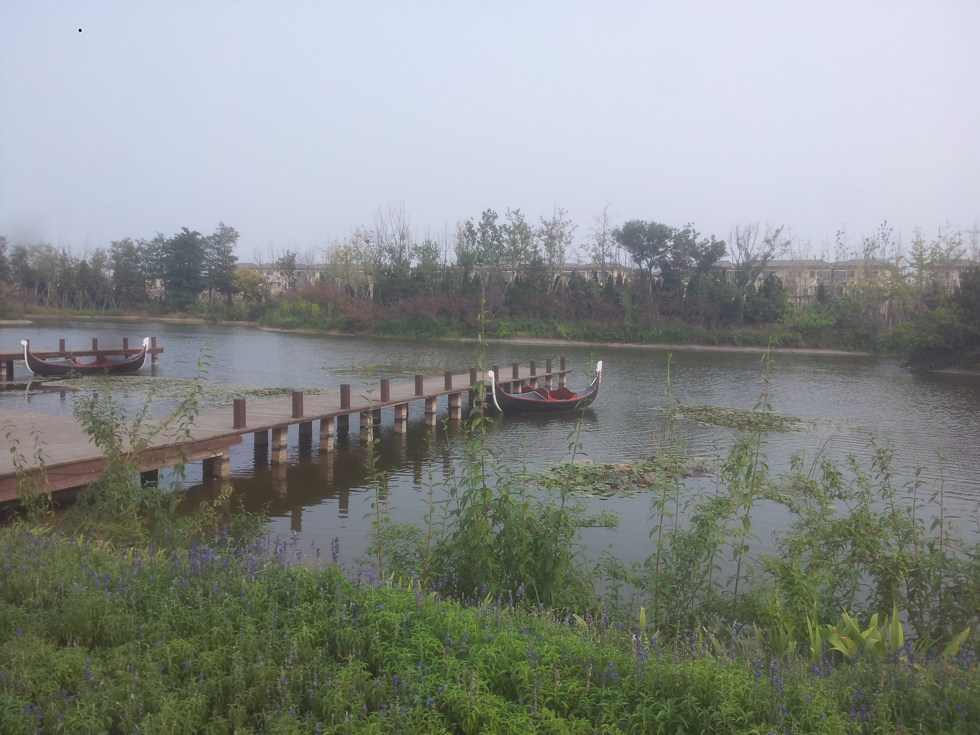 烟台牟平养马岛龙湖地产体验区