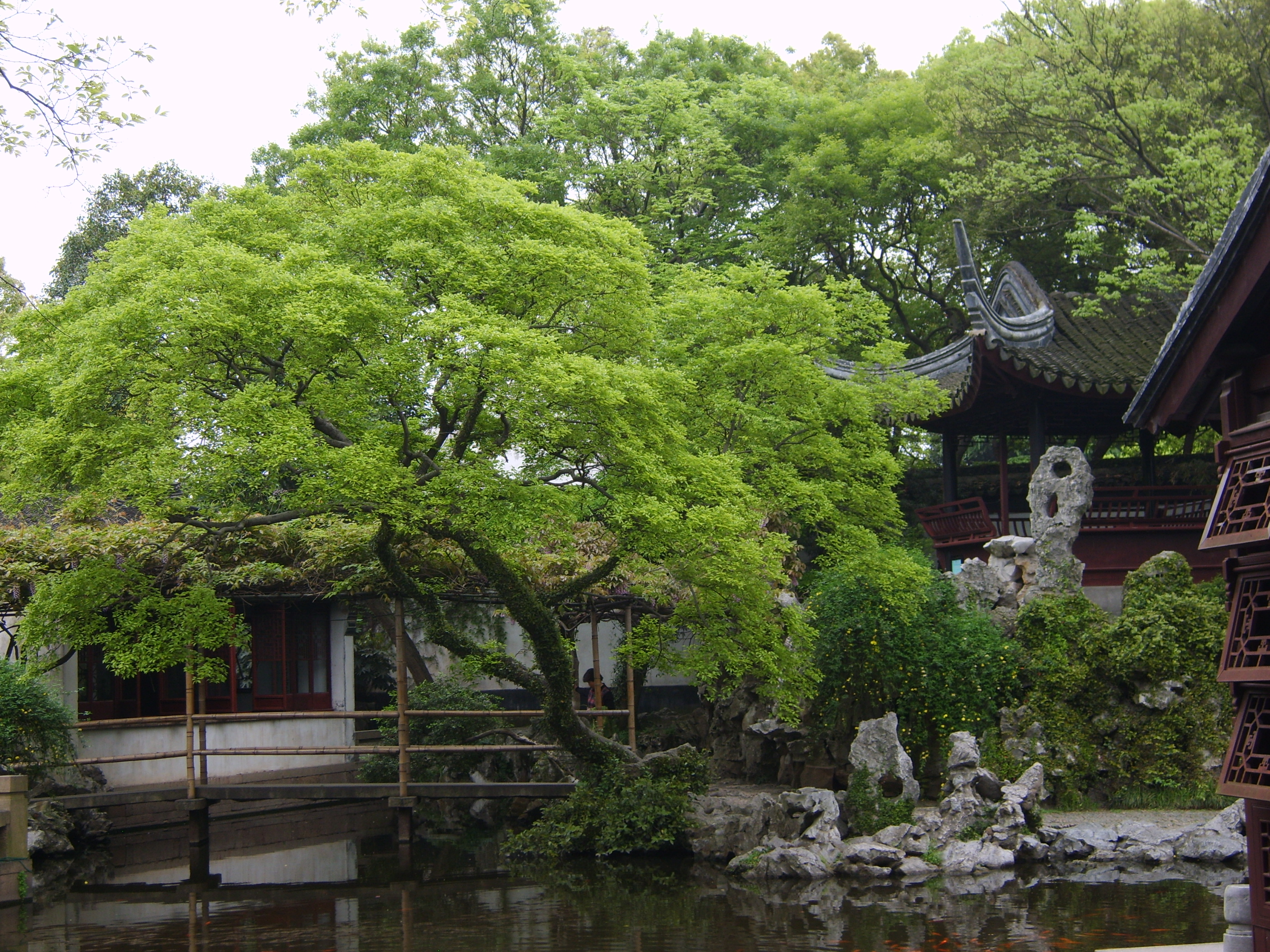 【携程攻略】同里退思园适合单独旅行旅游吗,退思园