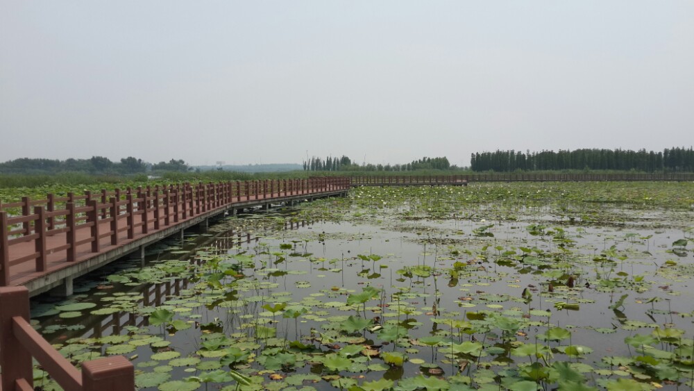 潘安湖湿地公园