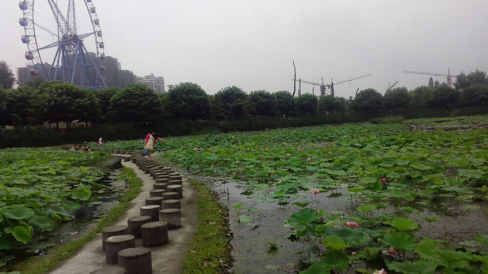 水天花月水上乐园