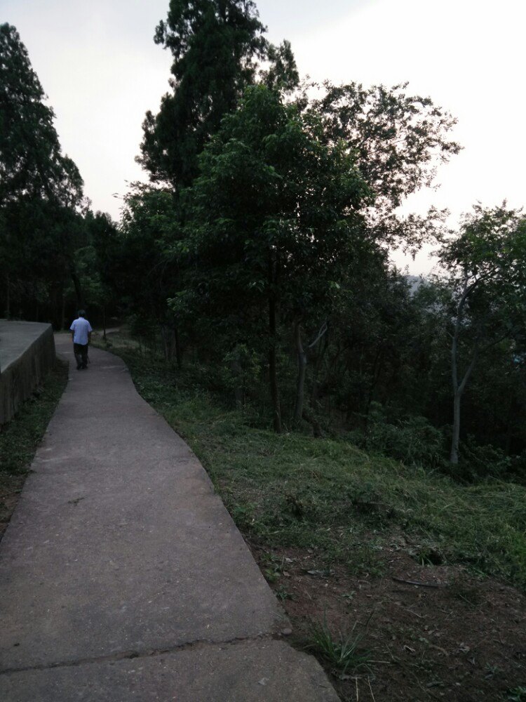 石首南岳山森林公园攻略,石首南岳山森林公园门票