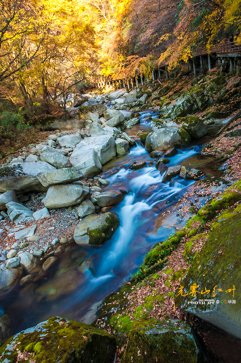 米仓山古栈道