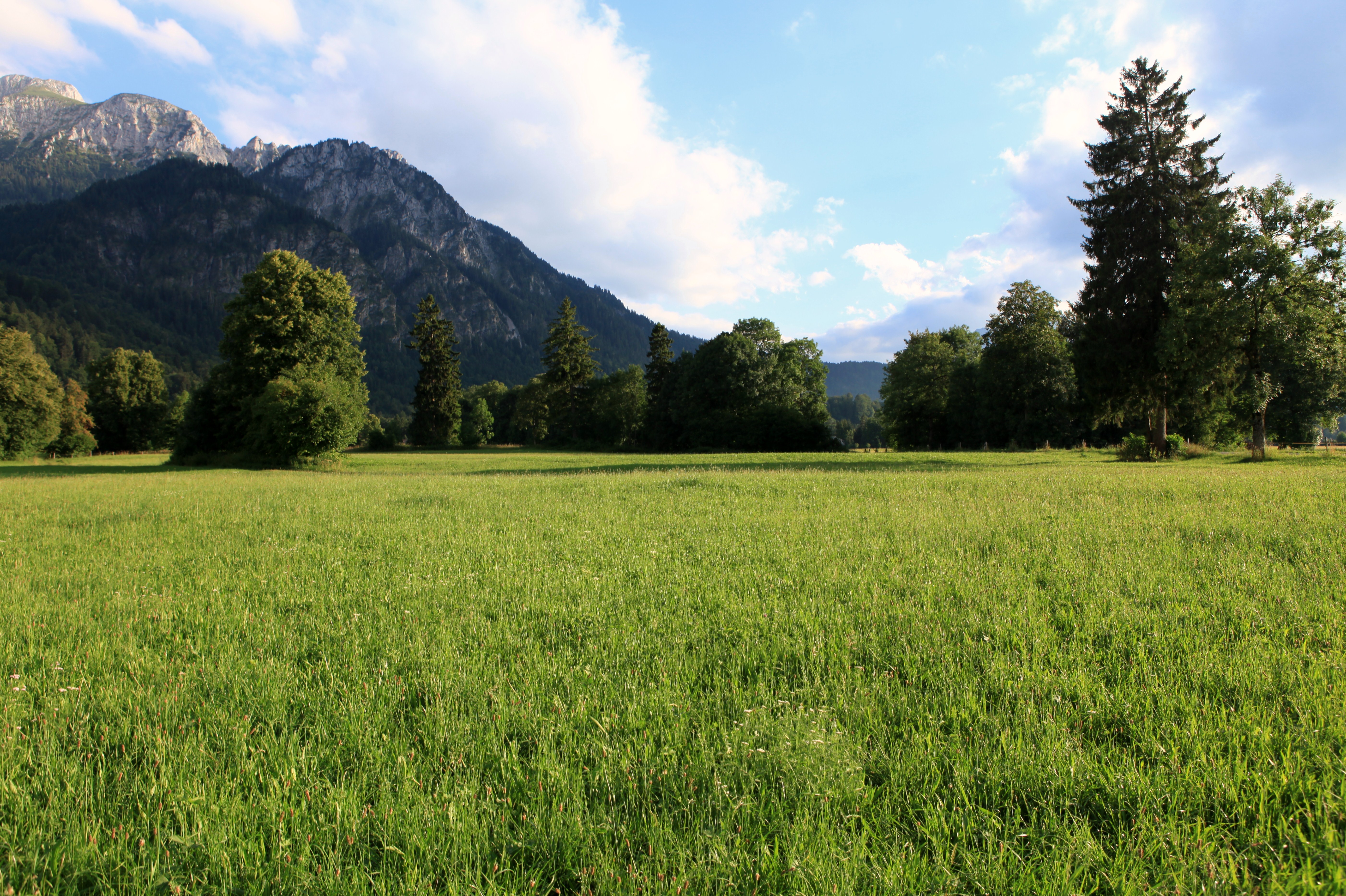 德国自驾游(5)---菲森