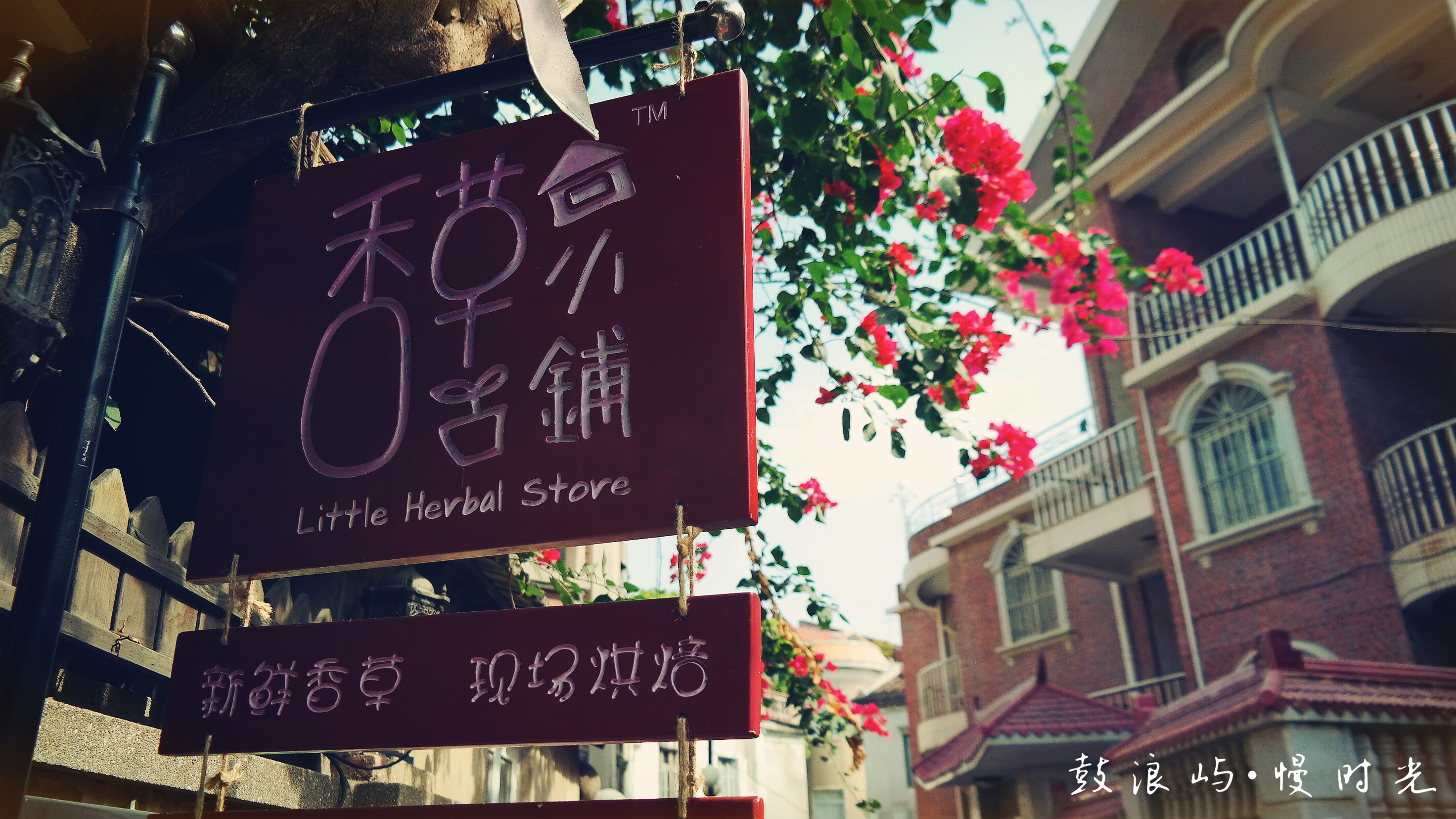 这个庭院花团紧簇的 ,雅致舒服极了,可 惜拍时手 ...