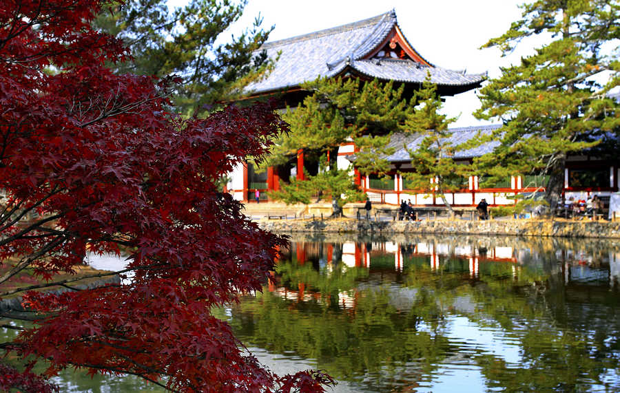 盘点奈良五大神秘景点,呼吸著安静的味道