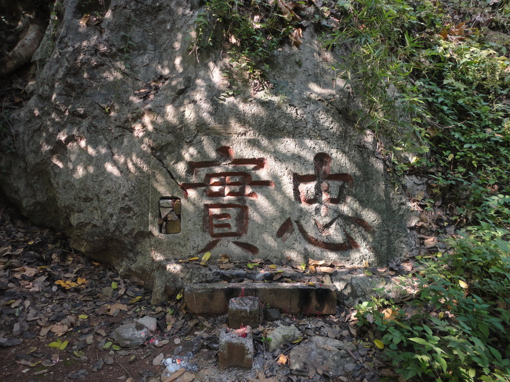 从凤凰山到玉皇山,游走在杭州市区幽静的山林