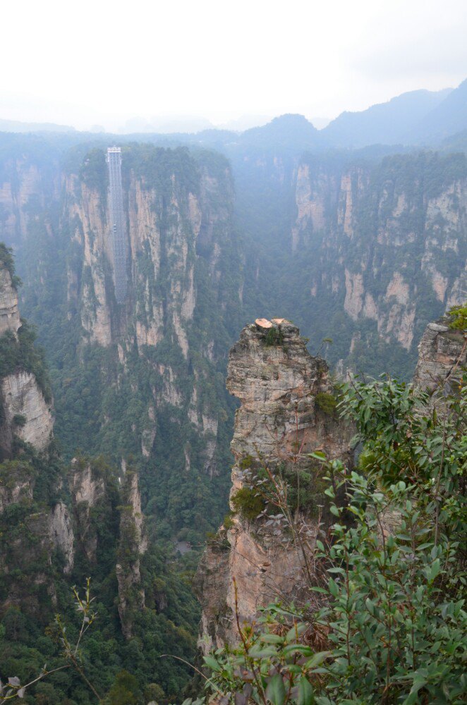 2019百龙天梯-旅游攻略-门票-地址-问答-游记点评,武陵源旅游旅游景点