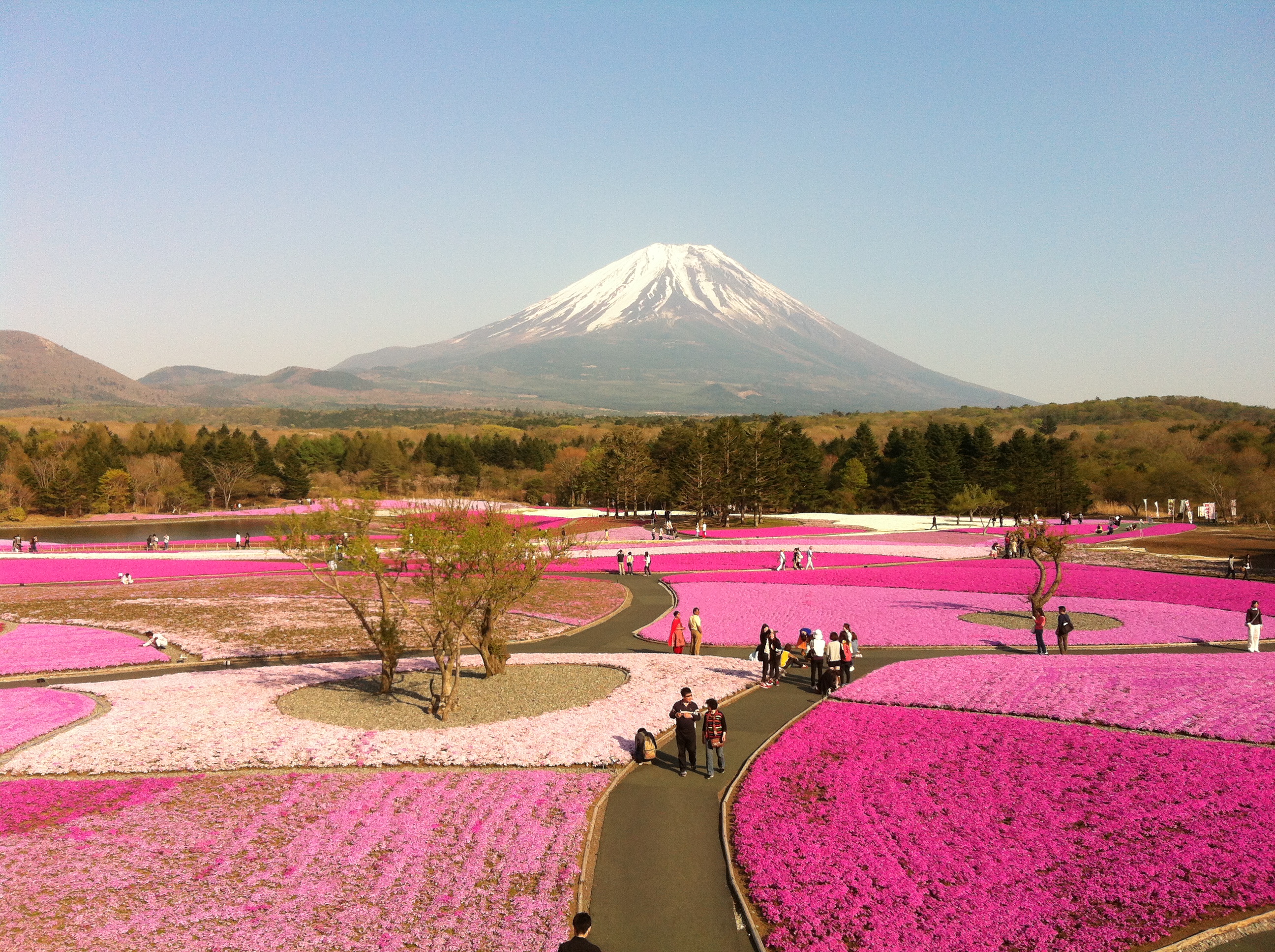 日本特色之旅|伊势市游记-携程旅行