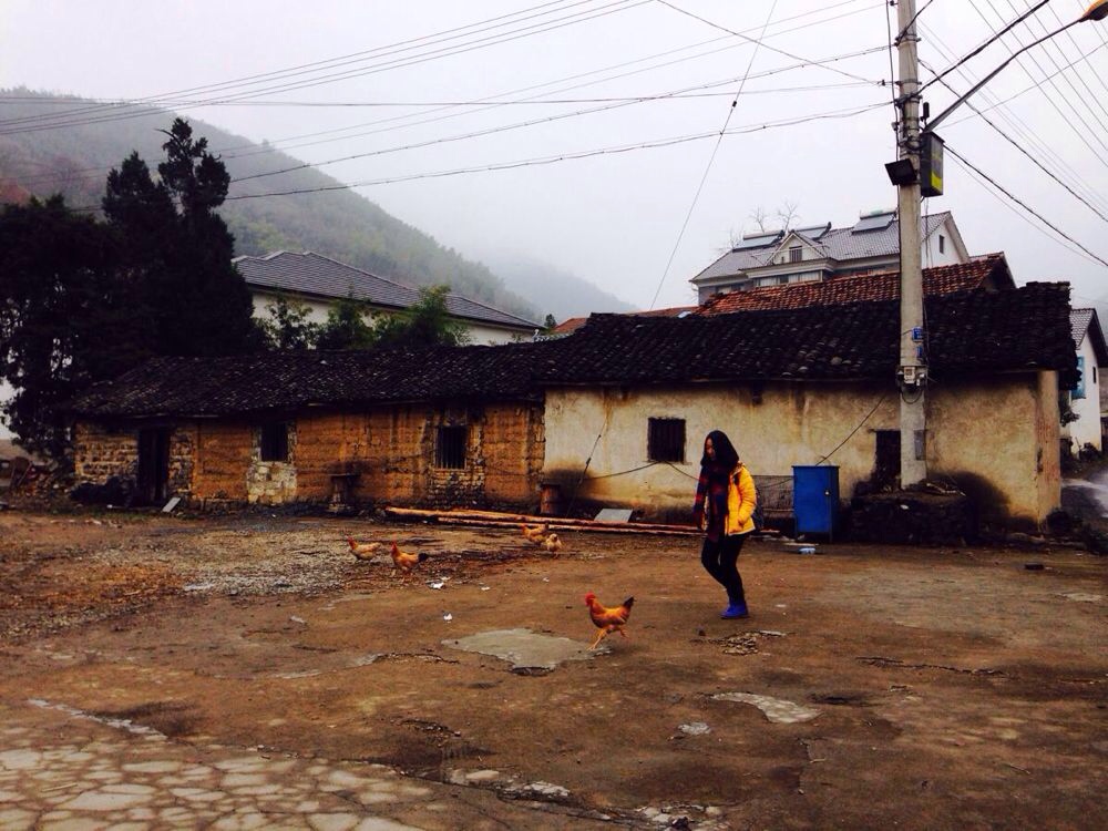 东天目山挂单---稻草人旅游