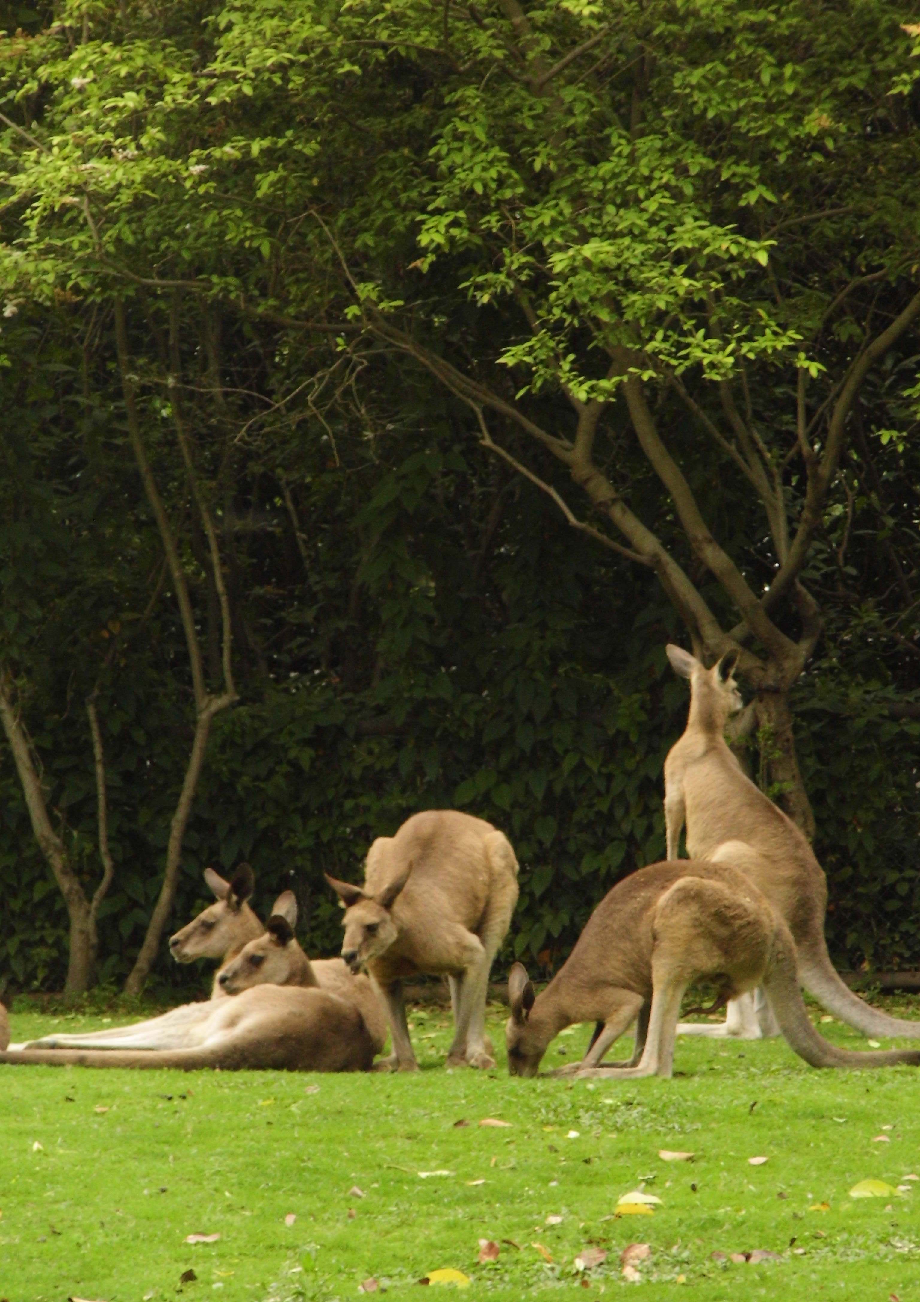 高高兴兴的上路了漫长的路程任仍然没有降低我们对野生动物的兴趣