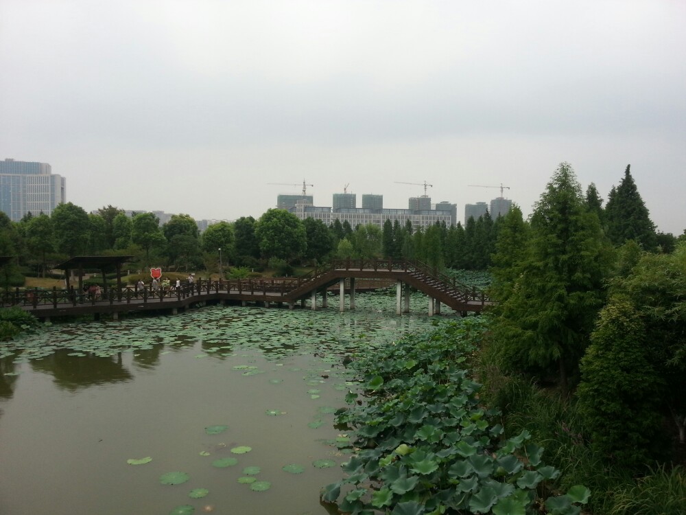 【携程攻略】靖江马洲公园景点,公交1路马洲公园站,向内望去小桥流水