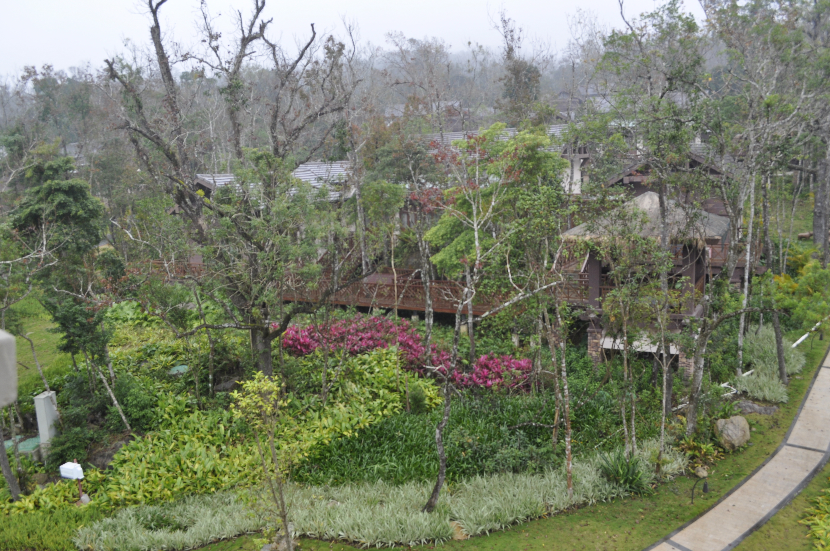 夫妻<em>行房</em>图片演示图 /非洲<em>象人族女人行房</em> 图片