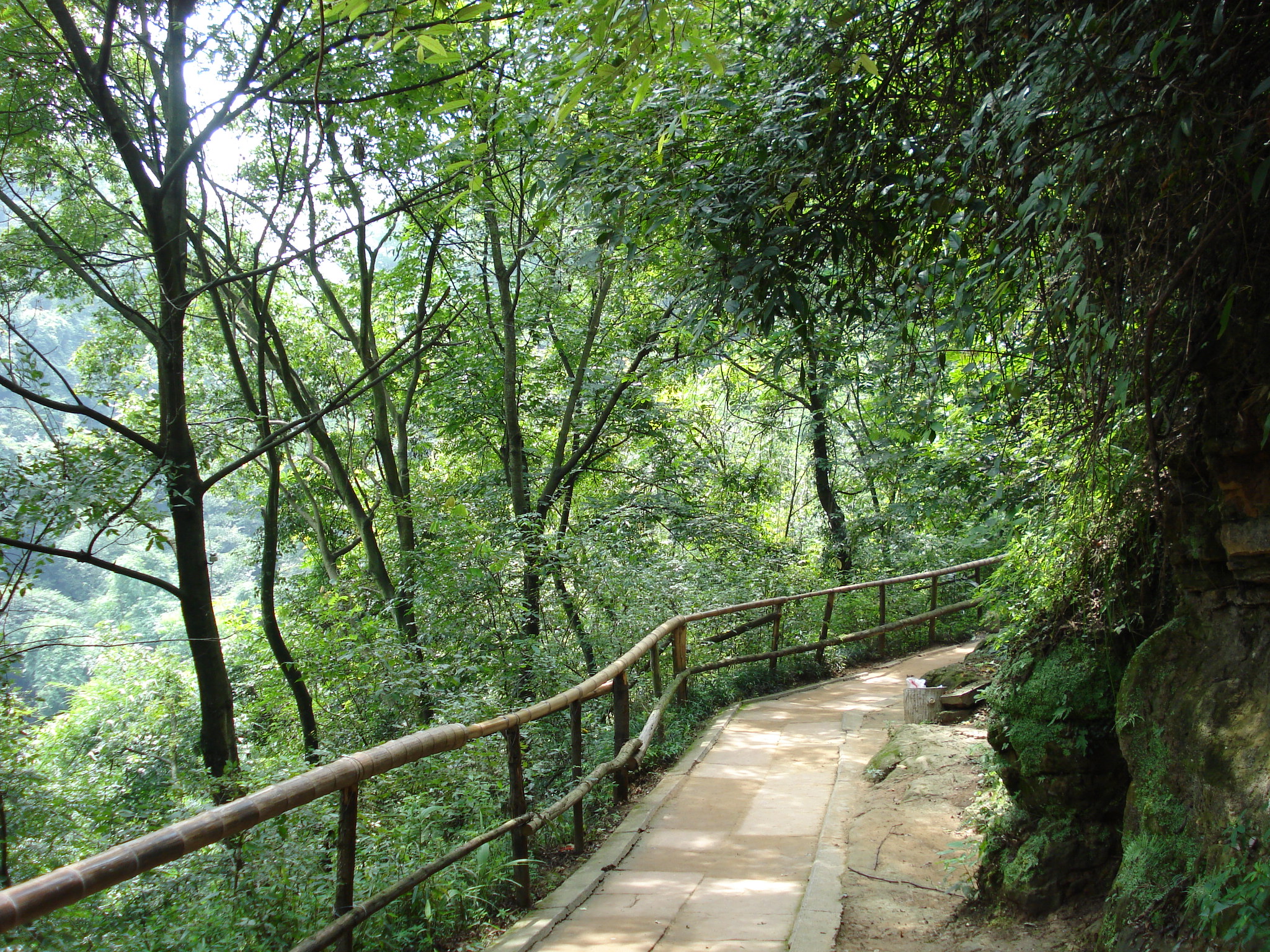 邛崃白鹤山-鹤林寺(2008年8月成都邛崃)