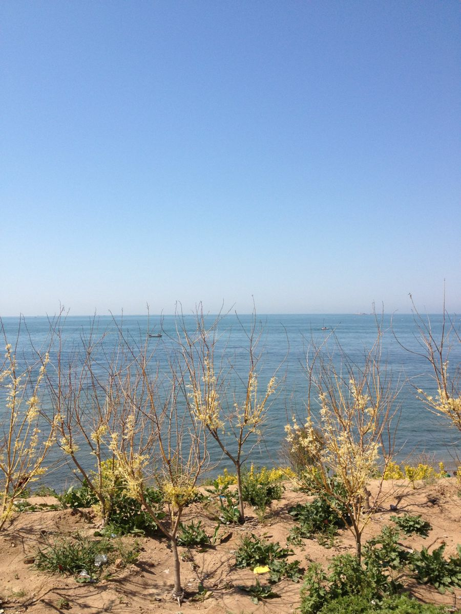 带老人去哪里旅游好 - 图片大全 - 宝乐资讯网