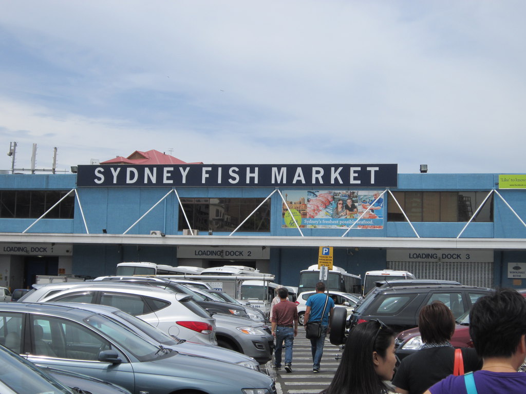 悉尼fish market