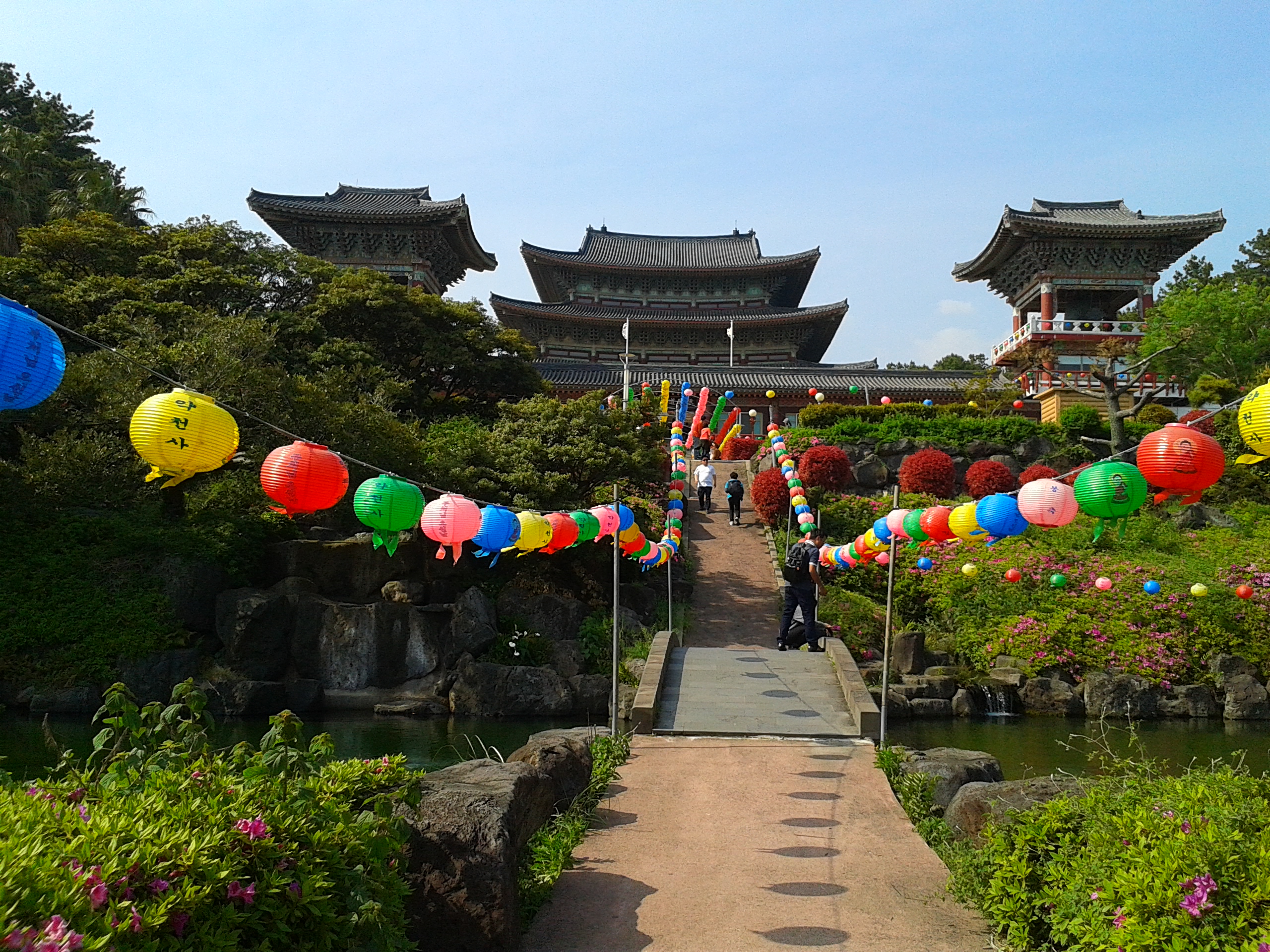 4月のjeju(济州岛)