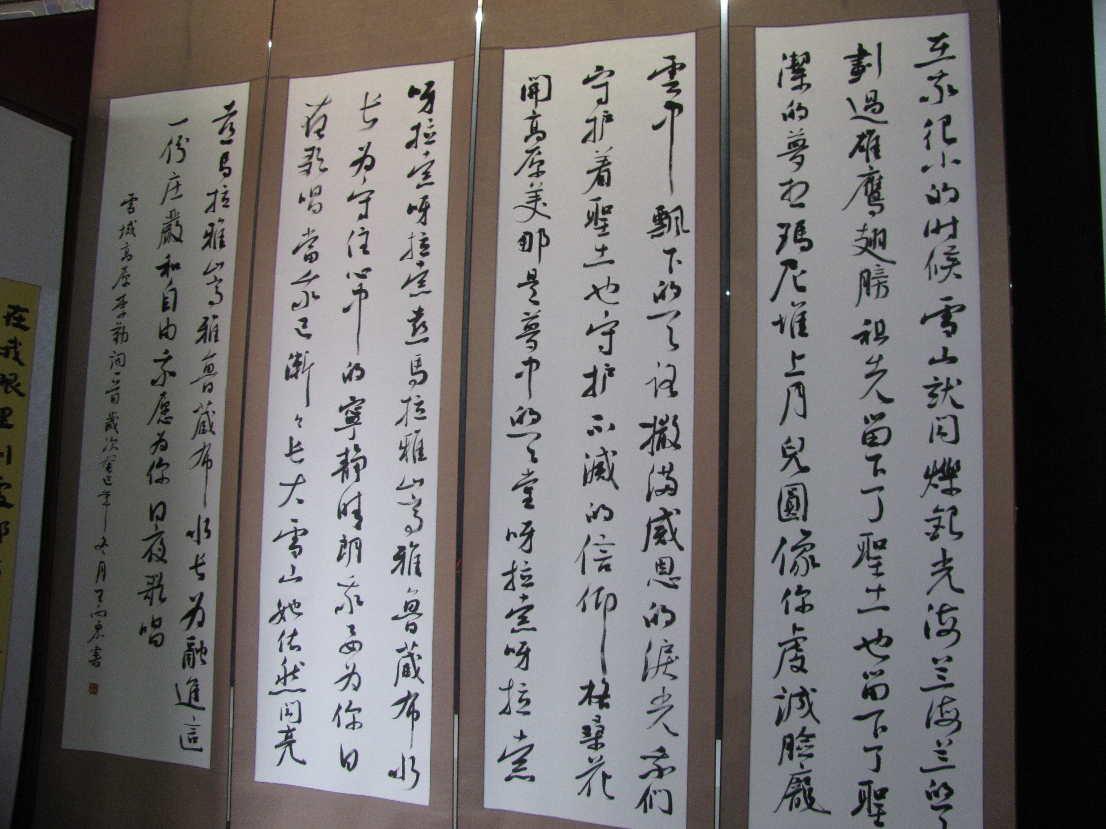 北京孔庙大成殿东侧王向东的书法展有特色