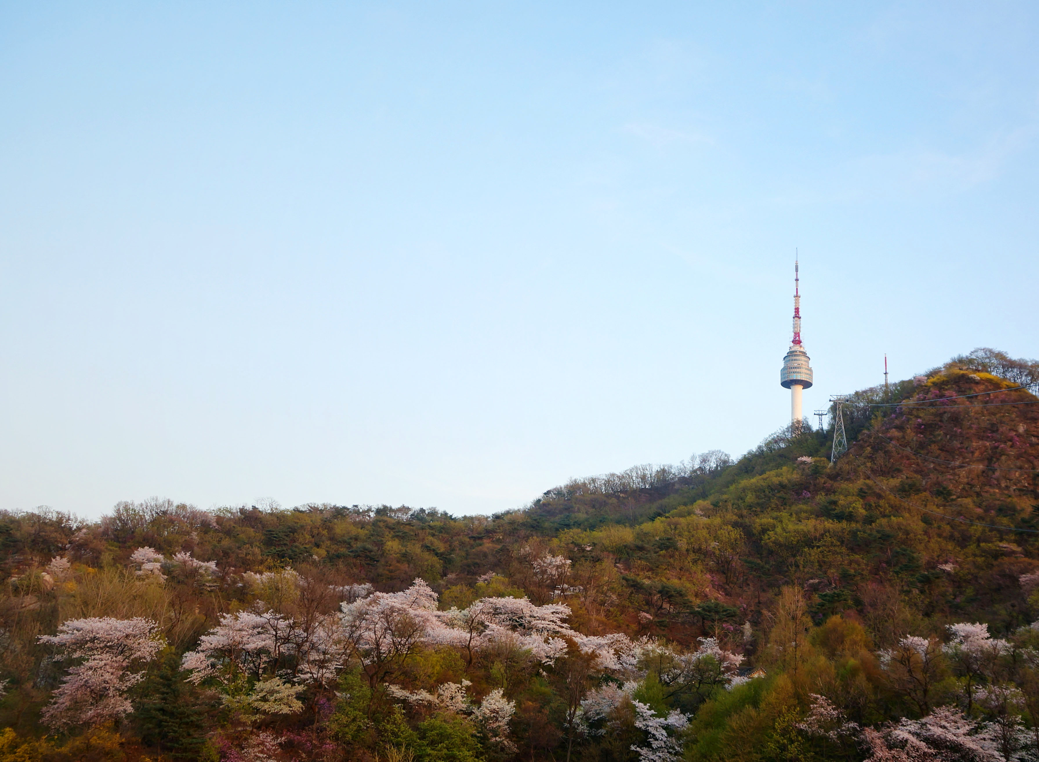 韩国首尔4日自由行·游南山公园 赏樱花海洋