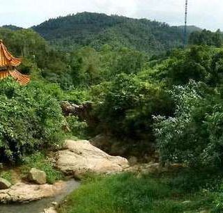 东莞大岭山森林公园攻略-大岭山森林公园门票价格多少钱-团购票价预定