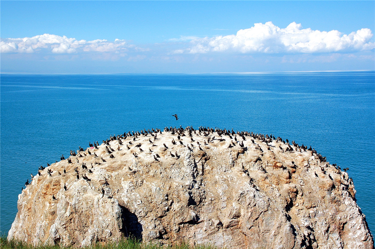 青海湖景点景区图片-青海湖风景名胜图片-青海湖旅游