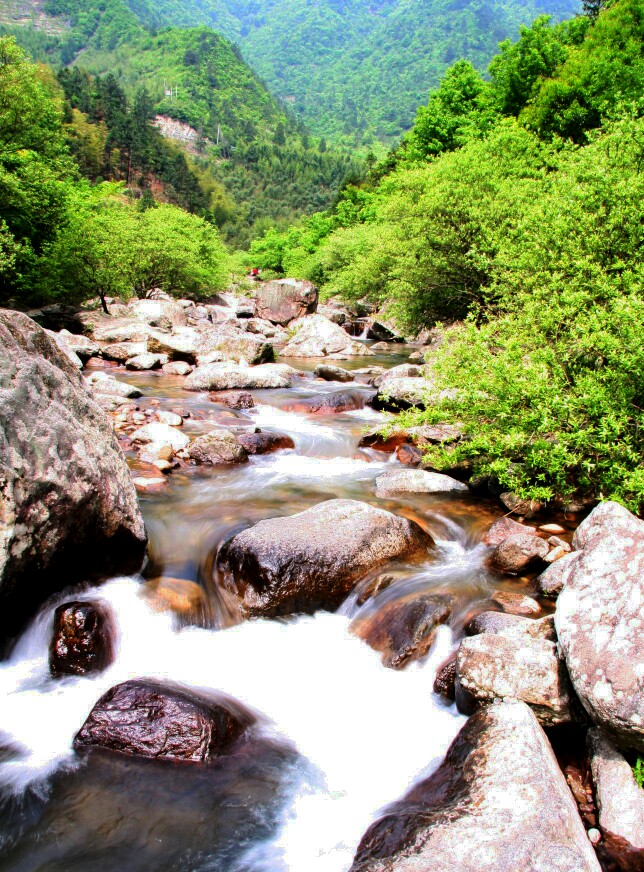 【携程攻略】浙江天目山景区适合朋友出游旅游吗,天目