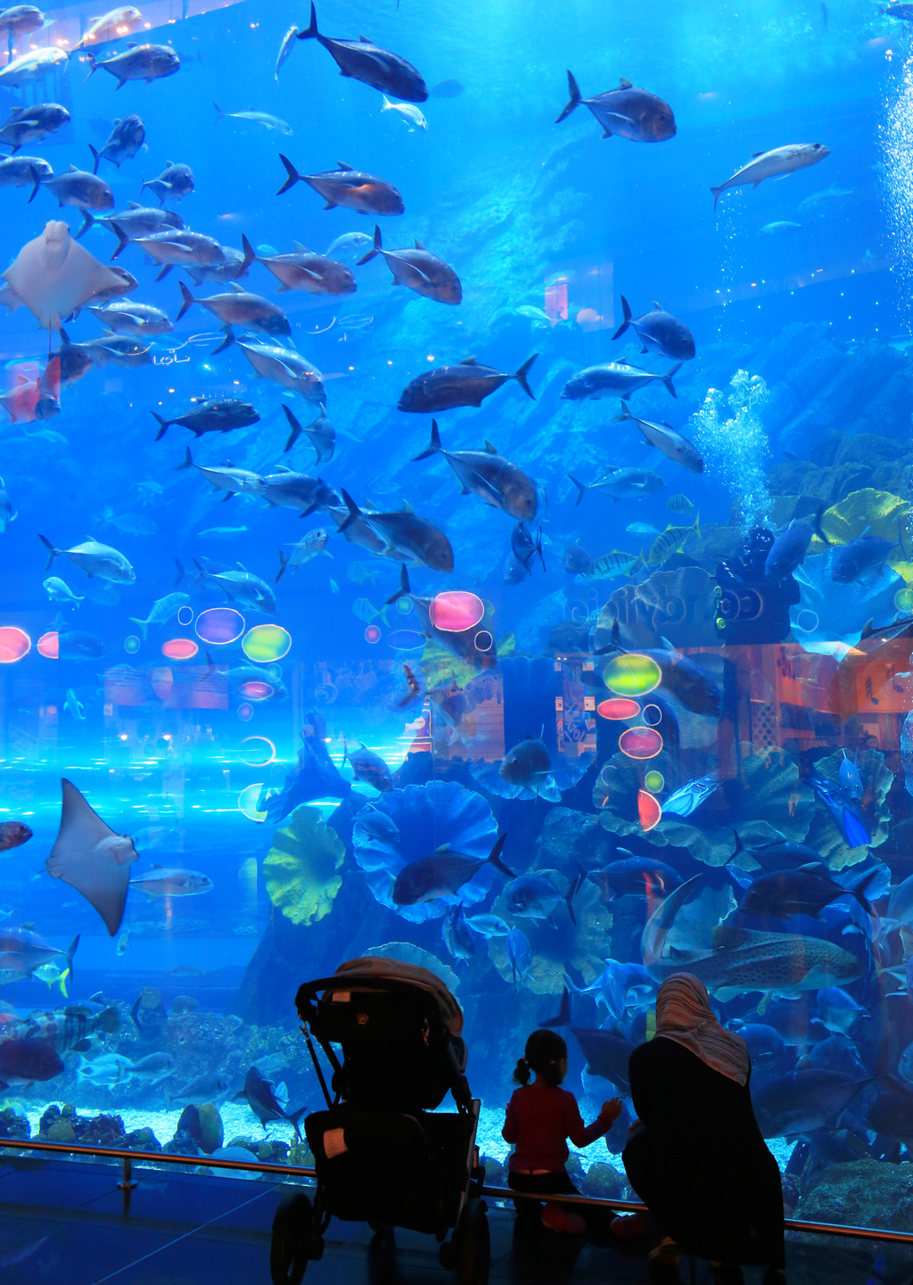 迪拜购物中心水族馆位于位于全球最高塔哈利法塔地下的大型购物中心迪拜商场,是号称全球之最的水族馆。迪拜购物中心水族馆于2008年11月开幕,水族馆观光廊长200米,据说进入了吉尼斯纪录。在迪拜mall逛的时候,这里是人气最旺的地方,很多家庭都喜欢这个水族馆,光影之中很有海底世界的感觉。