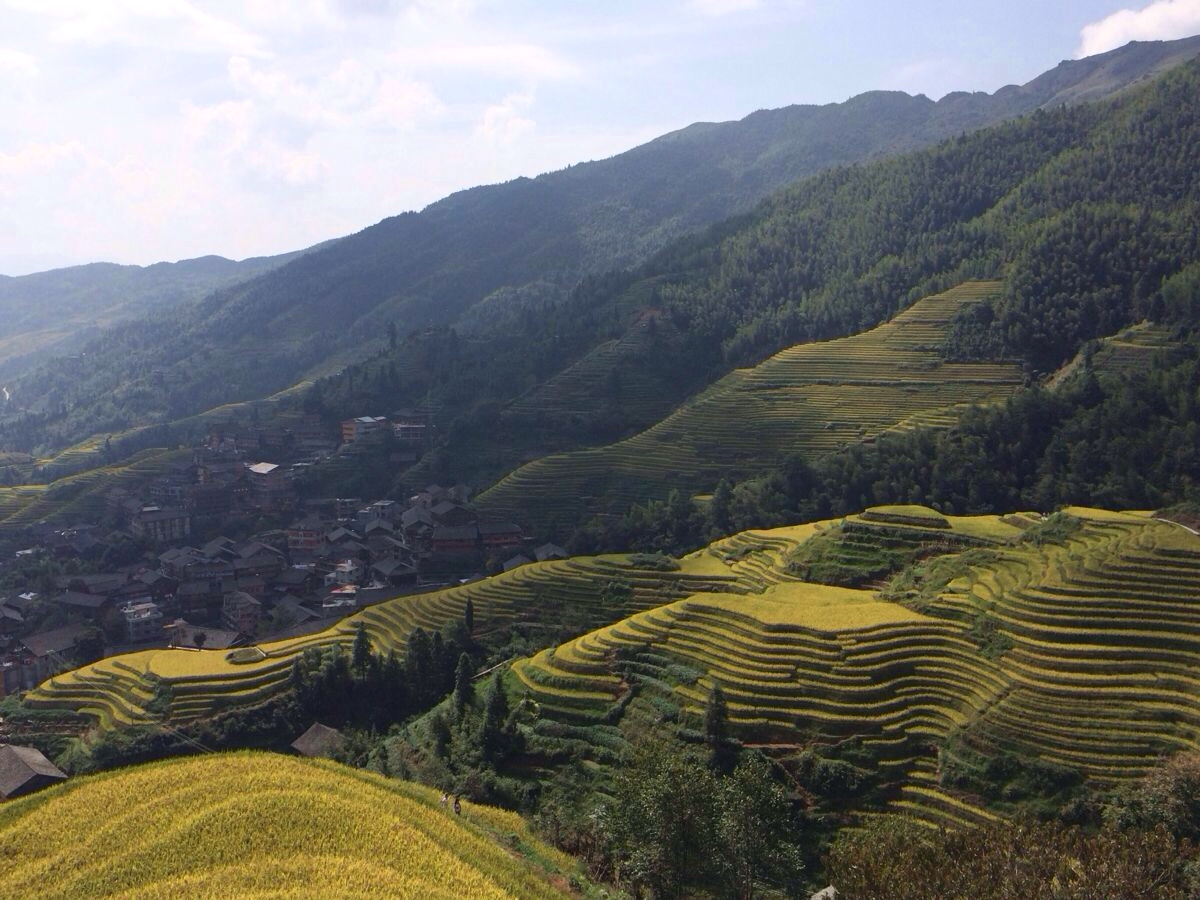 累の旅程二之龙脊金坑(大寨)梯田