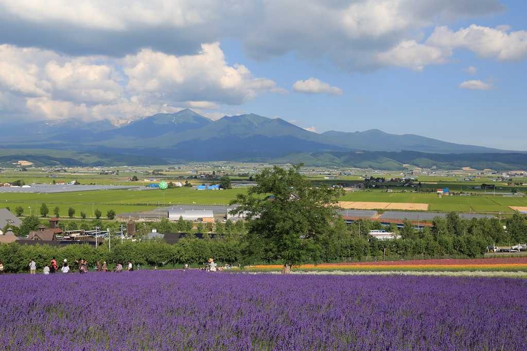 夏季日本北海道4日高性价比自由行,入住豪华星野tomamu度假村塔娃大