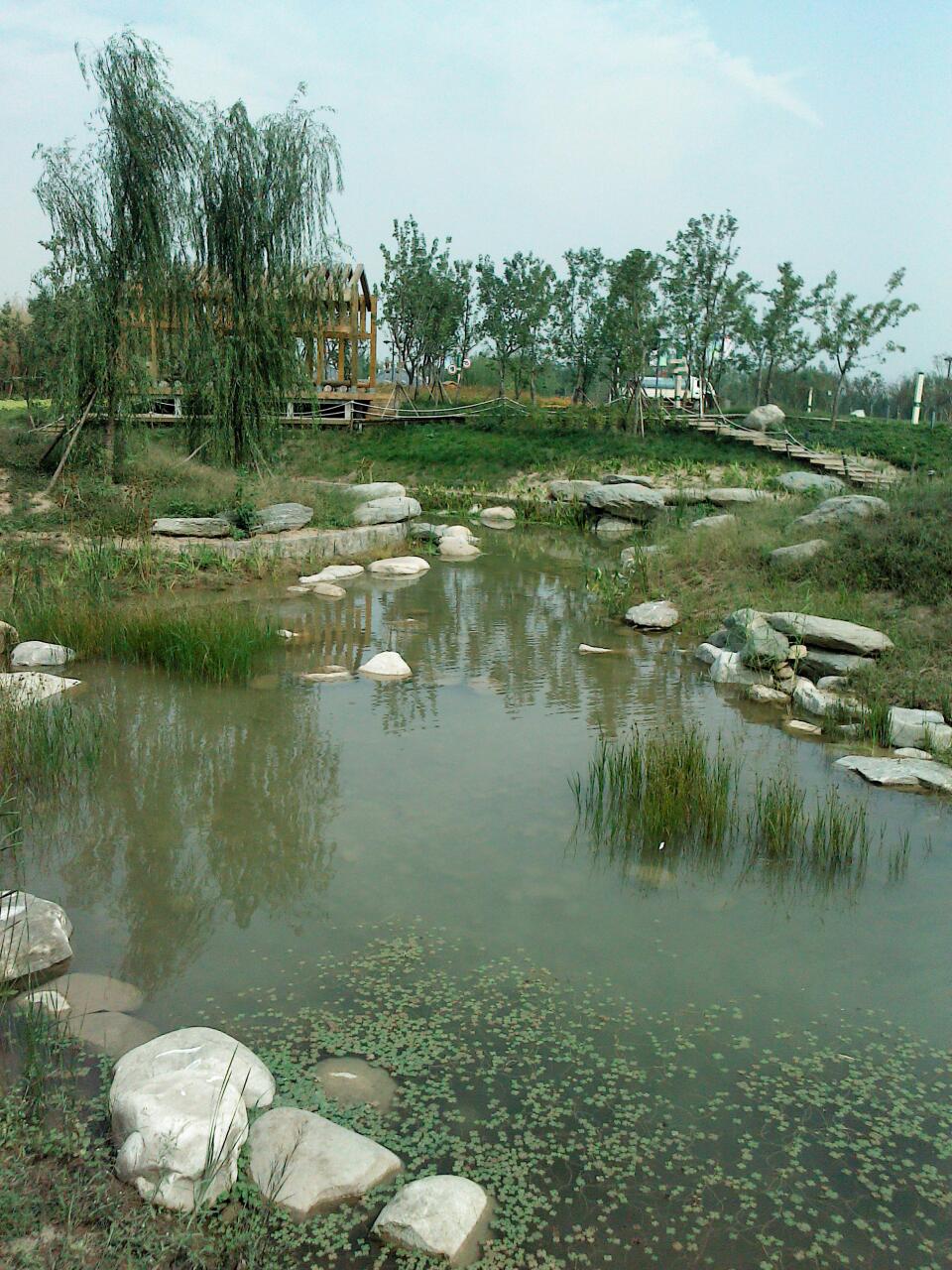 西安浐灞国家湿地公园一日游