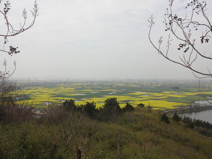 一朝芳草碧连天<em>女尊</em>_一二三木头人<em>女尊</em>_一树