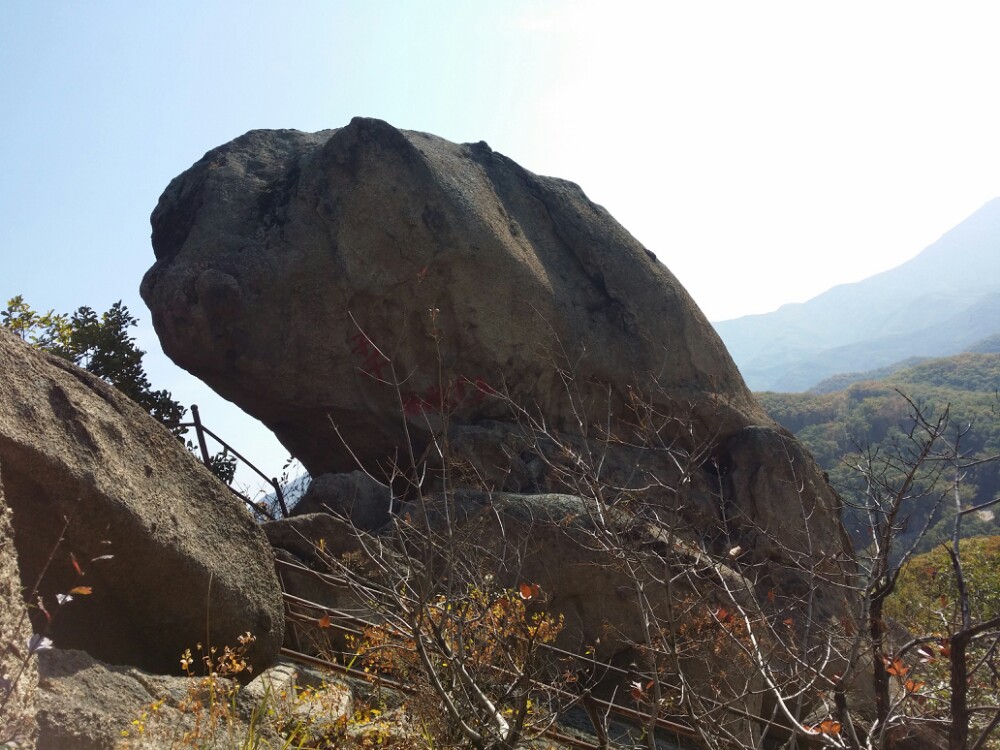朱雀山森林公园