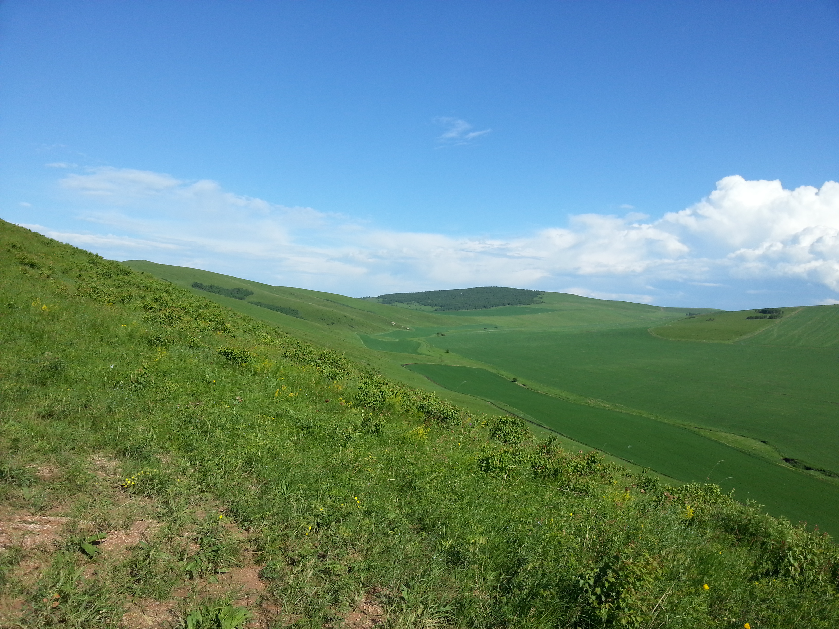 呼伦贝尔大草原在哪_呼伦贝尔大草原原唱_呼