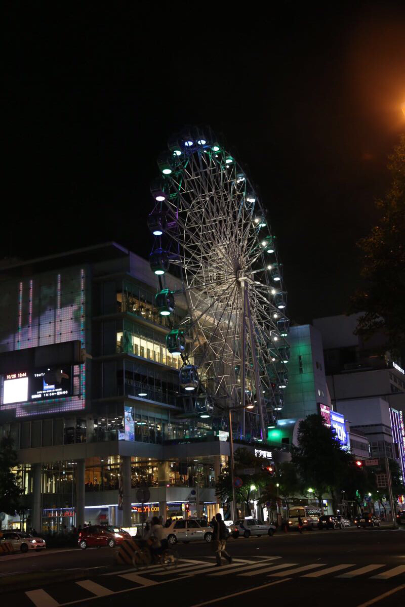 9天8晚日本中部行(名古屋周边/高山/富山)