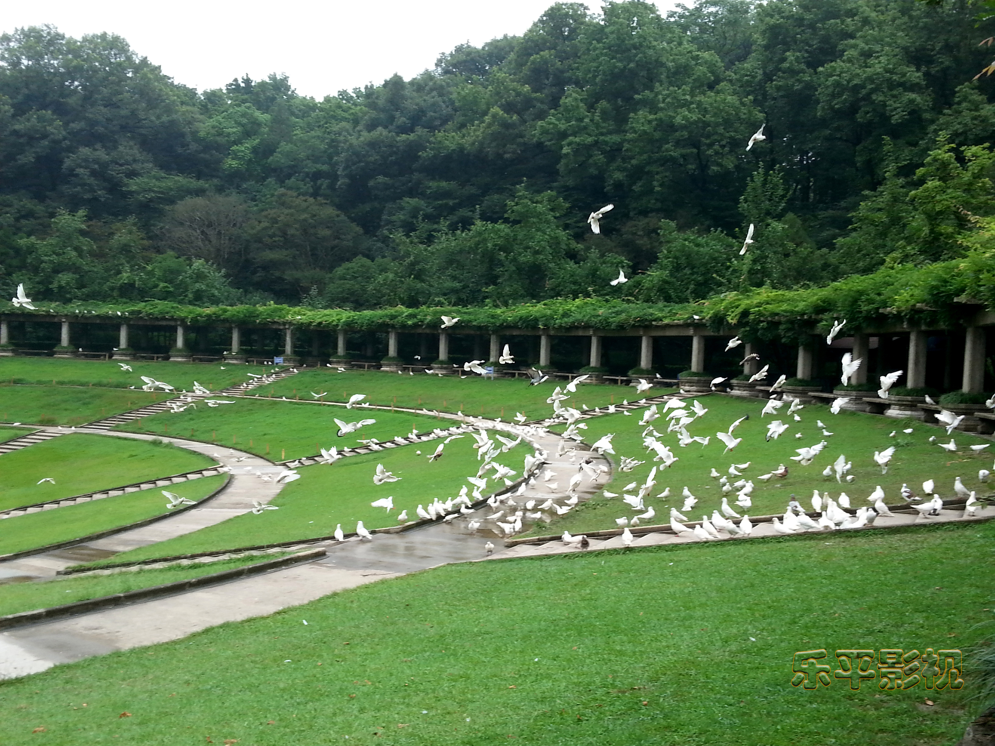 南京中山陵图片,南城市风光,扬州瘦西湖图片_大山谷图库