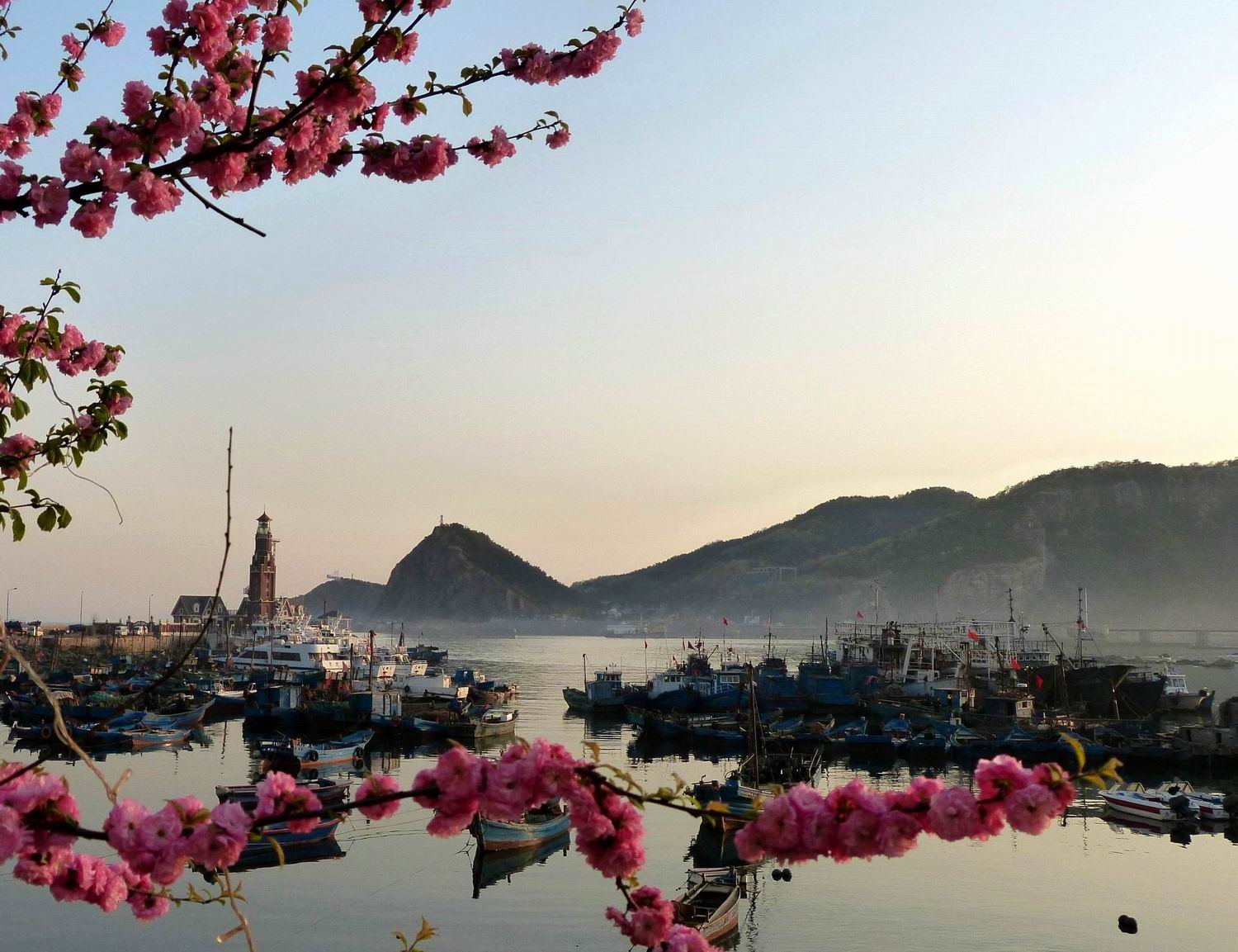 沈阳四海货运_沈阳四海货运_大连四海货运