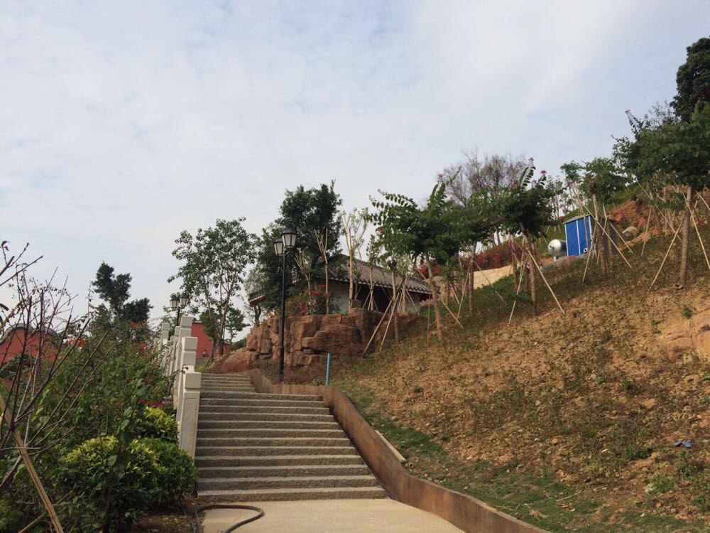 天马山公园